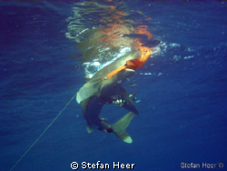 Safety Stop? 
Red Sea Juni 2009 / Brother Island/ Longim... by Stefan Heer 